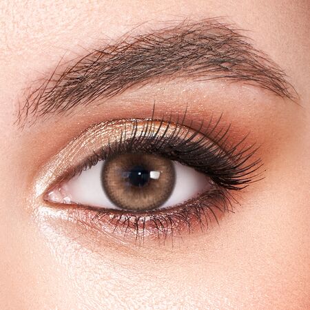 Ephemeral Brown Prescription 6 Months Contact Lenses