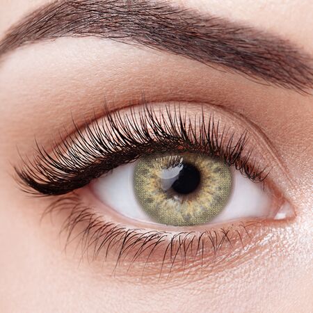 Taylor Brown Prescription Yearly Contact Lenses