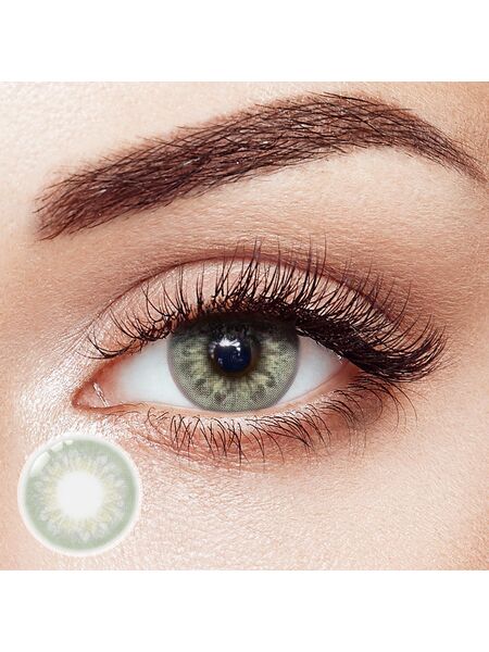 DNA Taylor Green Daily Contact Lenses | 10 Pcs