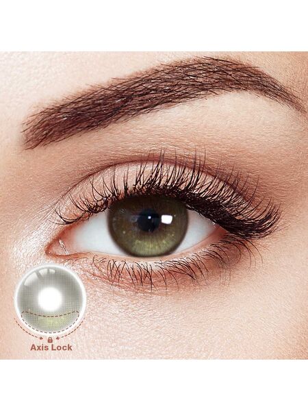 LumiShard Brown Daily Contact Lenses | 10 Pcs