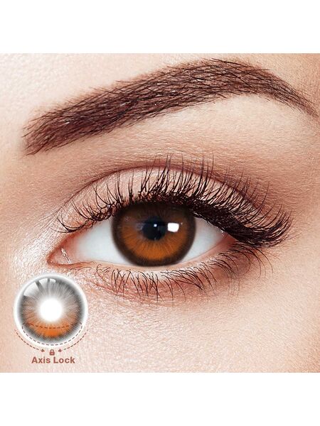 Rabbit Brown Daily Contact Lenses | 10 Pcs