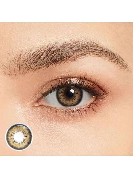 HC2 Sage Brown 6 Months Contact Lenses
