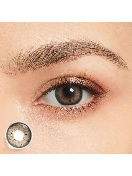 HC2 Warm Brown 6 Months Contact Lenses