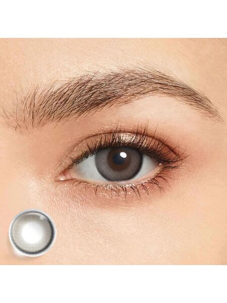 Halo Gray 6 Months Contact Lenses