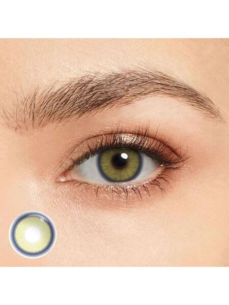 Melody Cream Brown 6 Months Contact Lenses