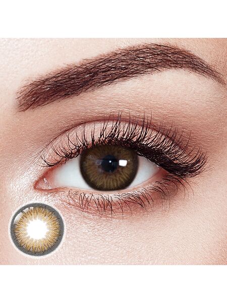 Stellar Brown 6 Months Contact Lenses