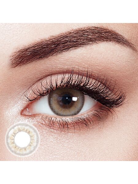 Antenna Grey 6 Months Contact Lenses