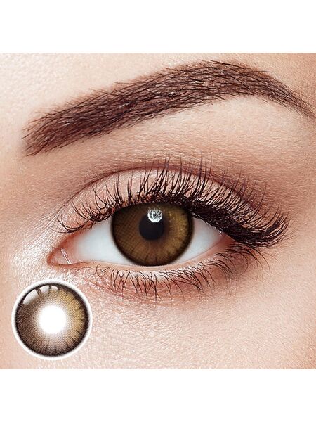 Verve Glossy Brown 6 Months Contact Lenses | 2 Pcs