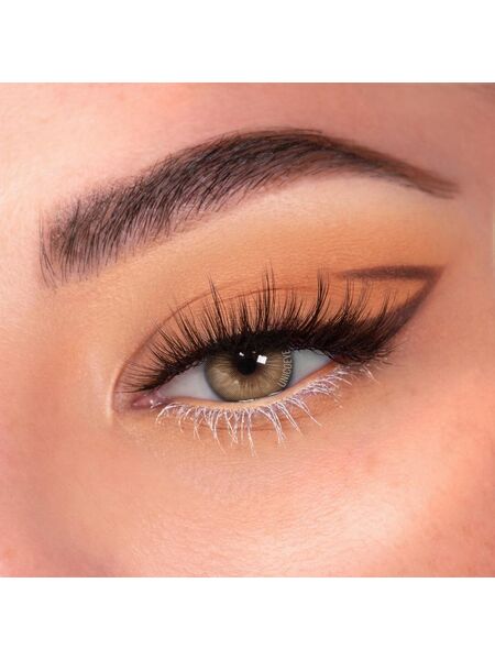 Premium Brown 6 Months Contact Lenses