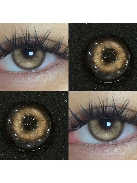 Roman Holiday Brown Yearly Contact Lenses
