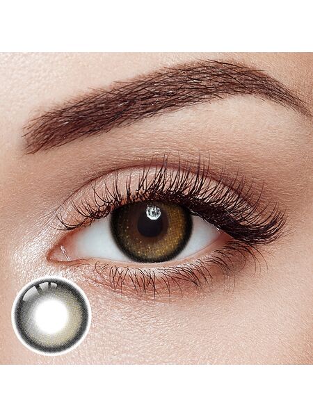 Gemini Brown Yearly Contact Lenses