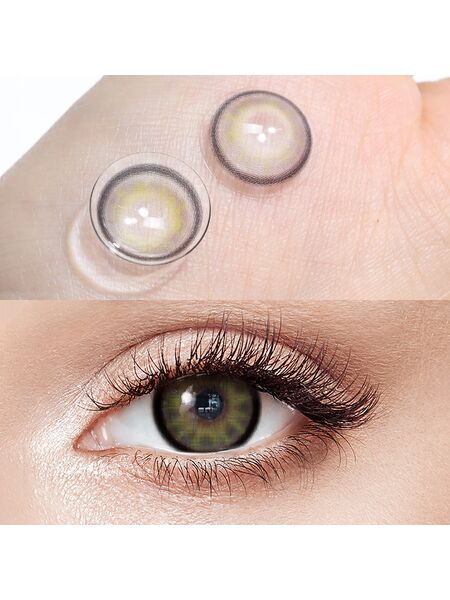 Evenfall Gray 6 Months Contact Lenses