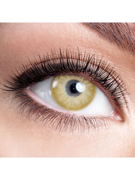 [Pre-Sale] Bailey Brown 6 Months Contact Lenses