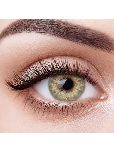 Taylor Brown Prescription Yearly Contact Lenses