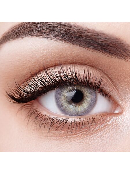 Taylor Purple Yearly Contact Lenses
