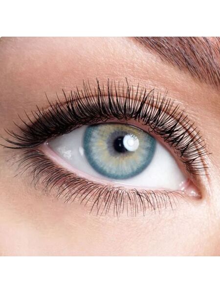 Pola Blue Yearly Contact Lenses