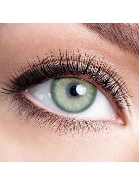 Pola Green Yearly Contact Lenses