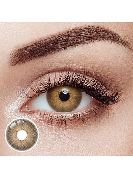Pattaya Brown Yearly Contact Lenses