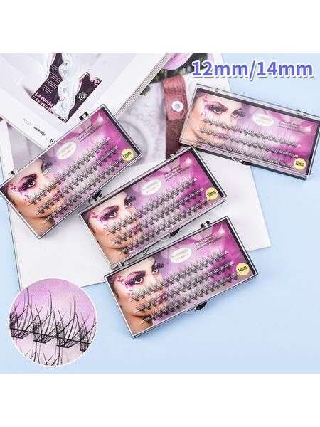 Wink Couture Segmented Natural Lashes