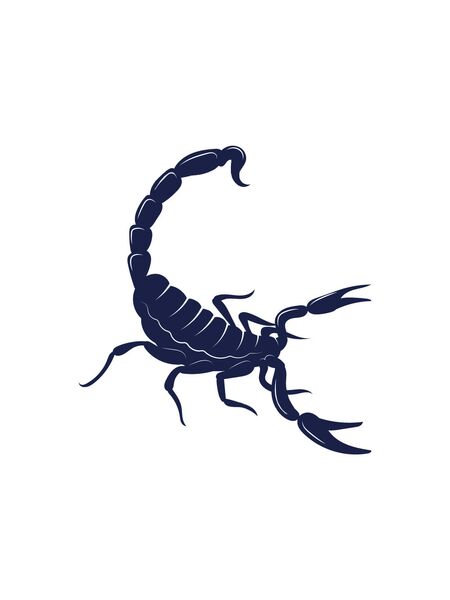 Scorpion Sting Tattoos
