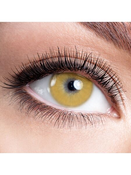 Fuji Brown 6 Months Contact Lenses