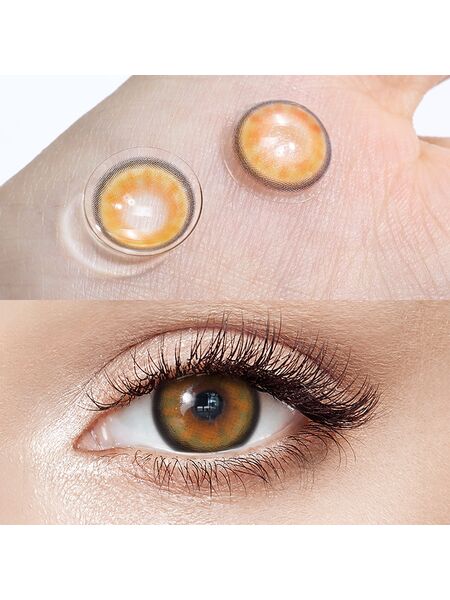 Evenfall Brown 6 Months Contact Lenses