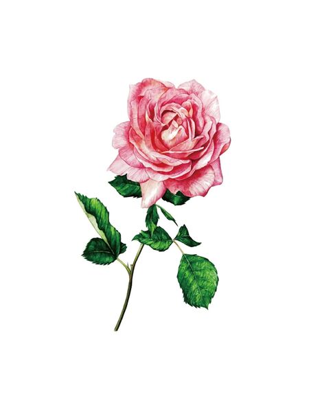 Vivid Bloom Tattoos
