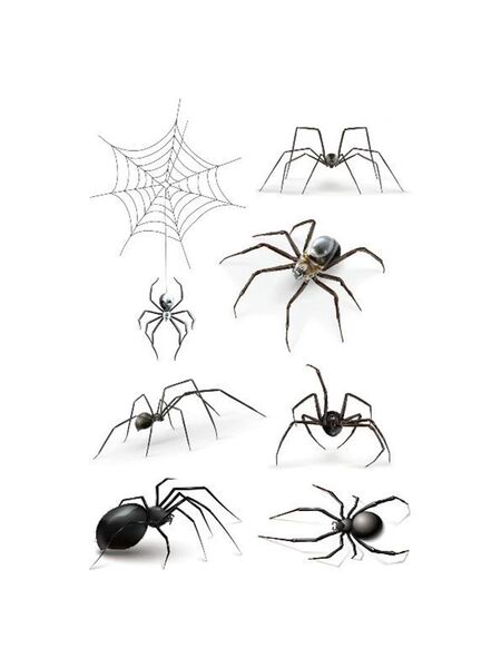 Web Weaver Tattoos