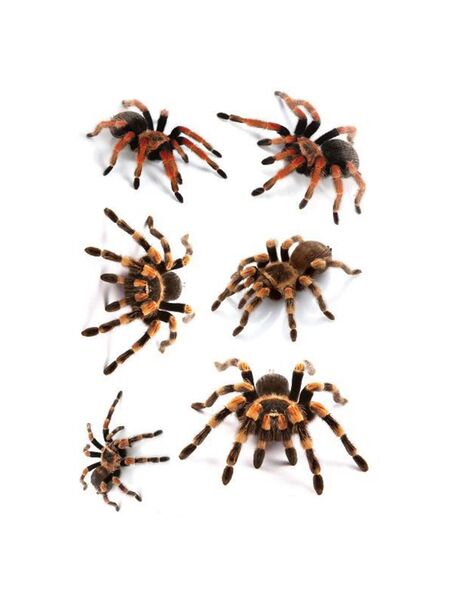 Spider Plush Tattoos