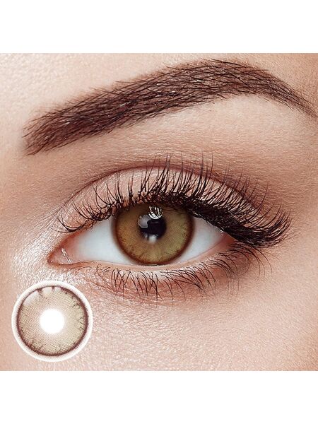 Dusk Brown 6 Months Contact Lenses | 2 Pcs