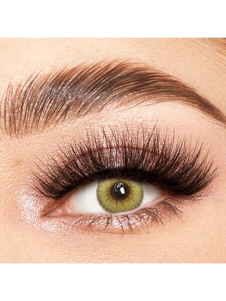 LA Girl Brown Yearly Contact Lenses
