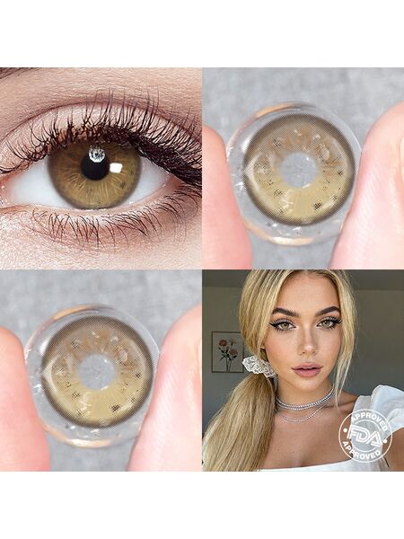 Morpho Brown 6 Months Contact Lenses