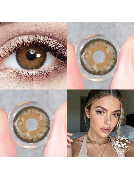 Marova Brown 6 Months Contact Lenses