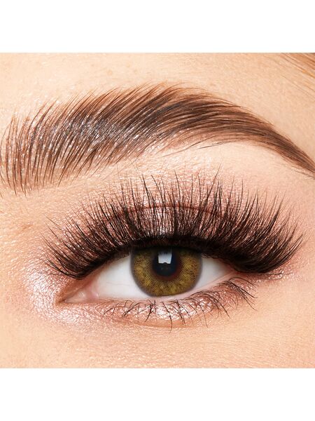 Russian Brown Yearly Contact Lenses