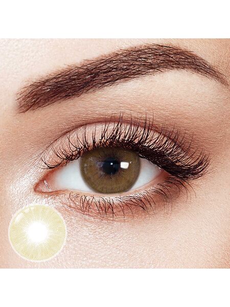 Avela Yearly Contact Lenses