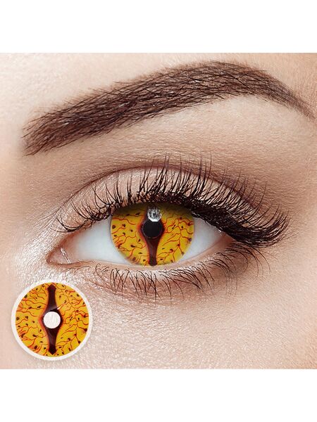 Reptilian Dragon Brown Costume 6 Months Contact Lenses