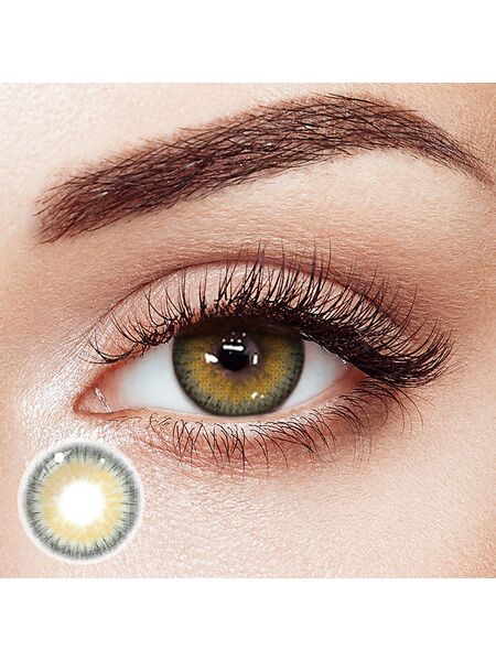 Sunburst Brown 6 Months Contact Lenses | 2 Pcs