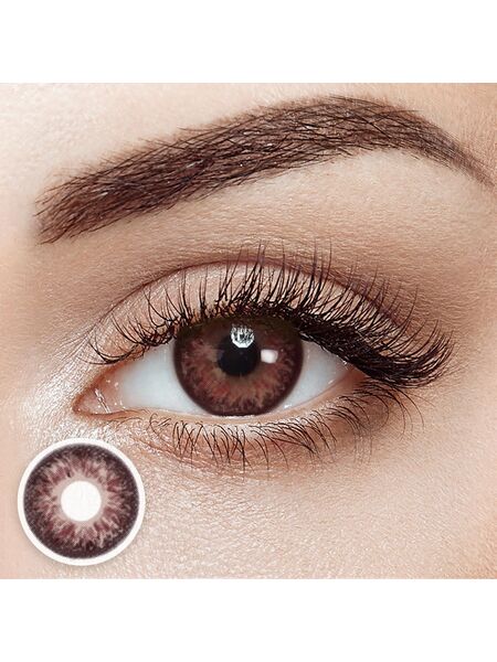 Forstfall Brown 6 Months Contact Lenses | 2 Pcs