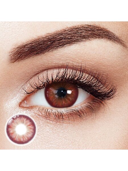Serene Pink 6 Months Contact Lenses | 2 Pcs