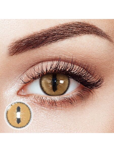 Neko Brown Costume 6 Months Contact Lenses | 2 Pcs