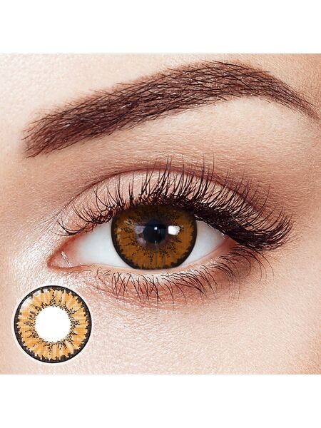 Viper Black Brown 6 Months Contact Lenses | 2 Pcs