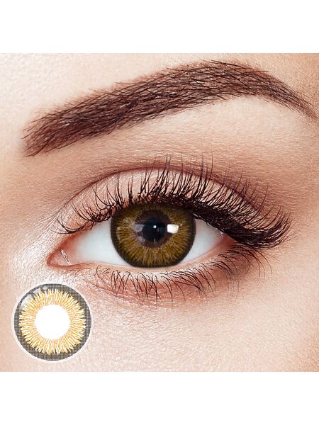 Bristle Brown 6 Months Contact Lenses | 2 Pcs