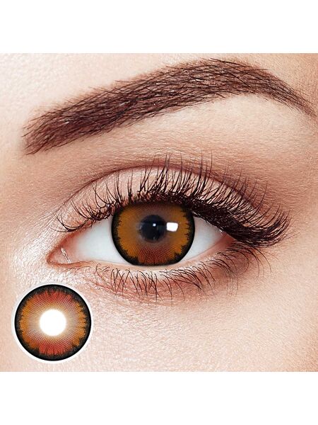 Honey Maple Brown 6 Month Contact Lenses | 2 Pcs