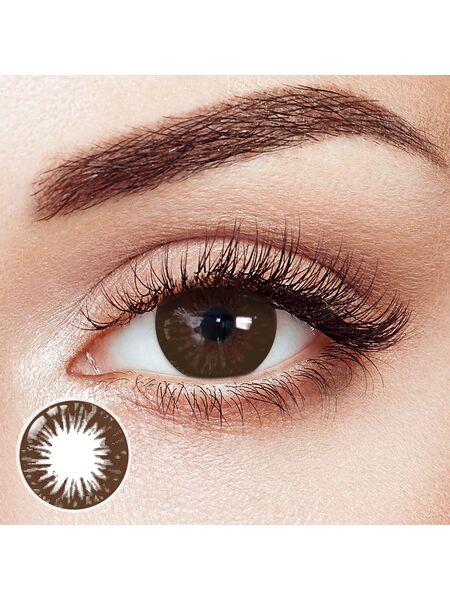 Rays Brown Prescription 6 Months Contact Lenses | 2 Pcs