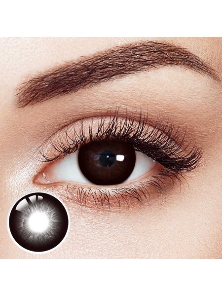 Dark Truffle Brown 6 Month Contact Lenses | 2 Pcs