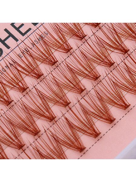 Twilight Temptation 3 Rows Segmented Natural Lashes