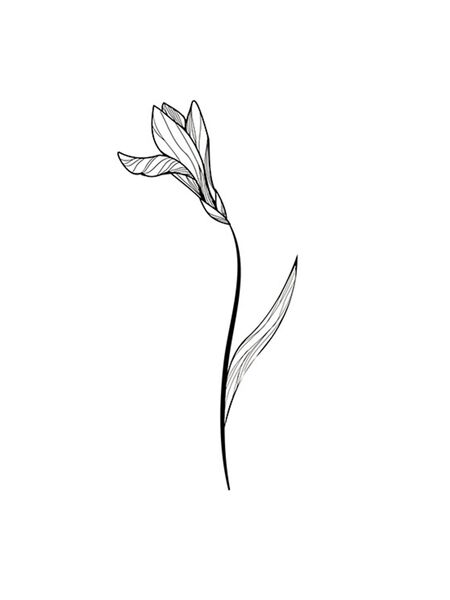Graceful Petal Tattoos